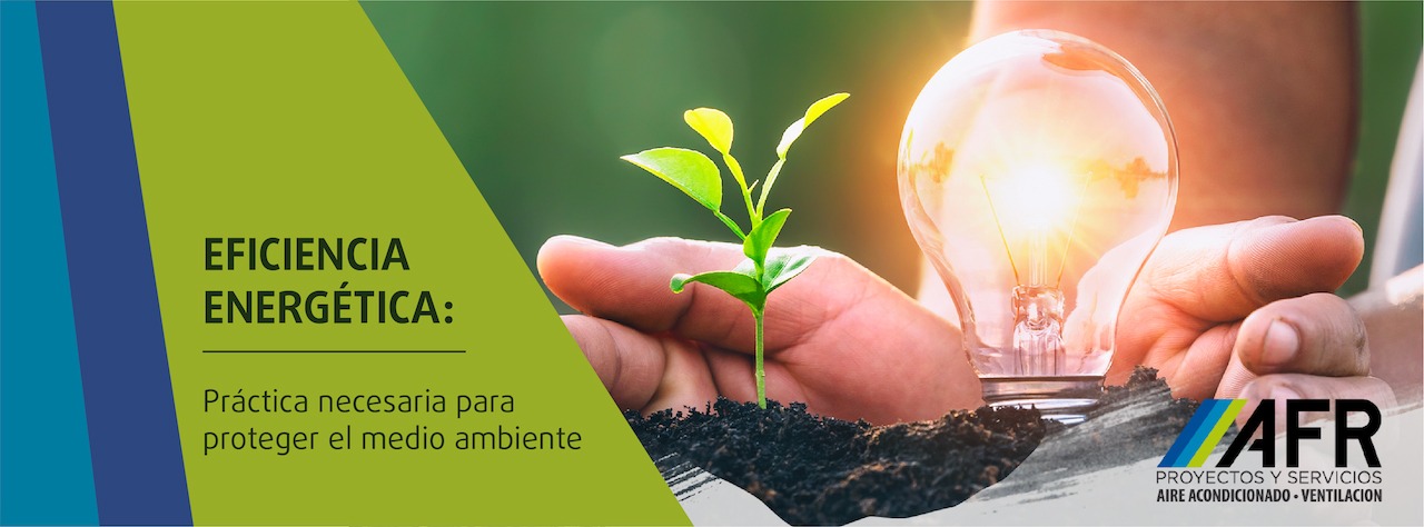 Nuestros procesos y automatización garantizan eficiencia energética que protege el medio ambiente
